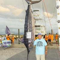 2nd Place Blue Marlin | Photo by Alaric Lambert